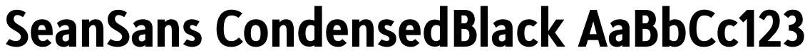 Sean Sans